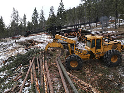 Forest Management Martelli Forestry Project 3
