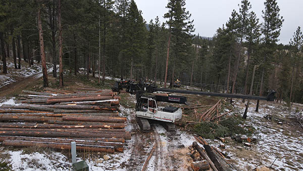 Site Clearing Martelli Forestry Montana